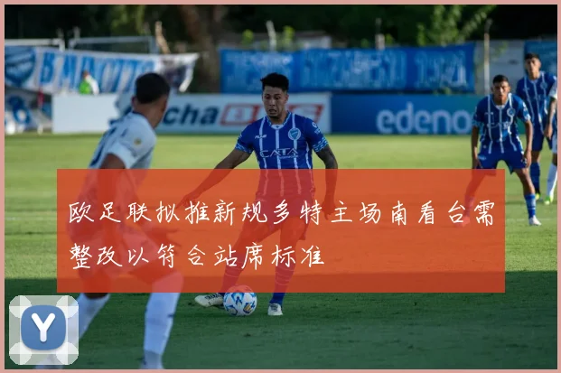 欧足联拟推新规多特主场南看台需整改以符合站席标准
