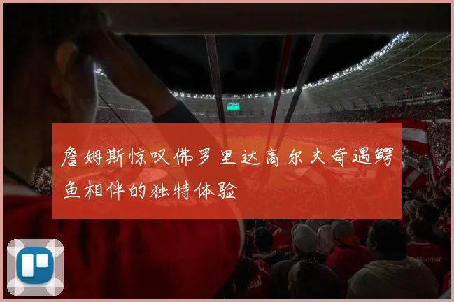 詹姆斯惊叹佛罗里达高尔夫奇遇鳄鱼相伴的独特体验